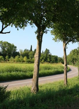 Chi la costruisce e dove