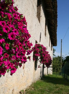 Chi la costruisce e dove